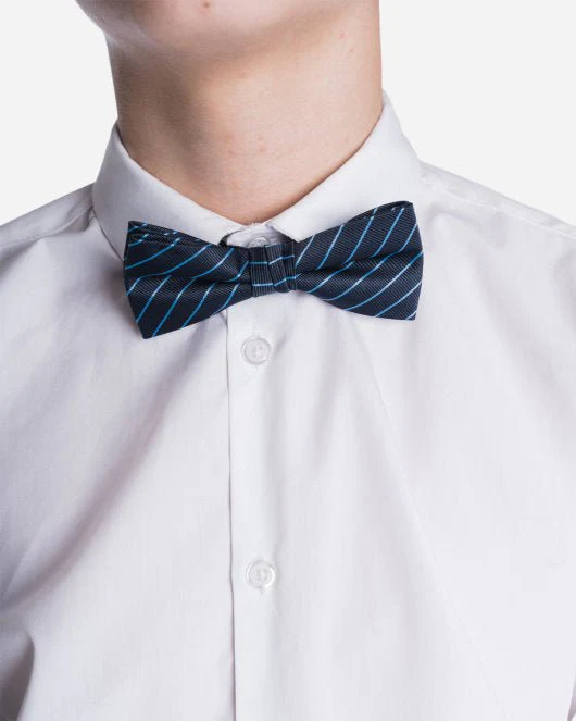 Our Mél Stripe Bow Tie - Navy/Lt. Blue - Image 2