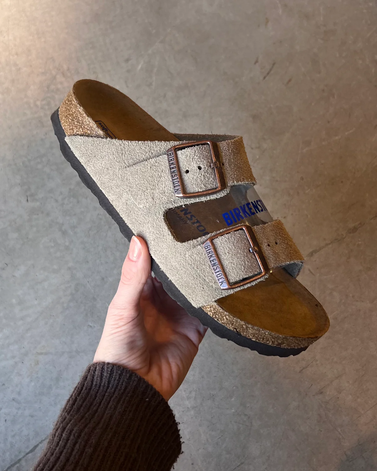 Arizona SFB VL Normal - Image 2
