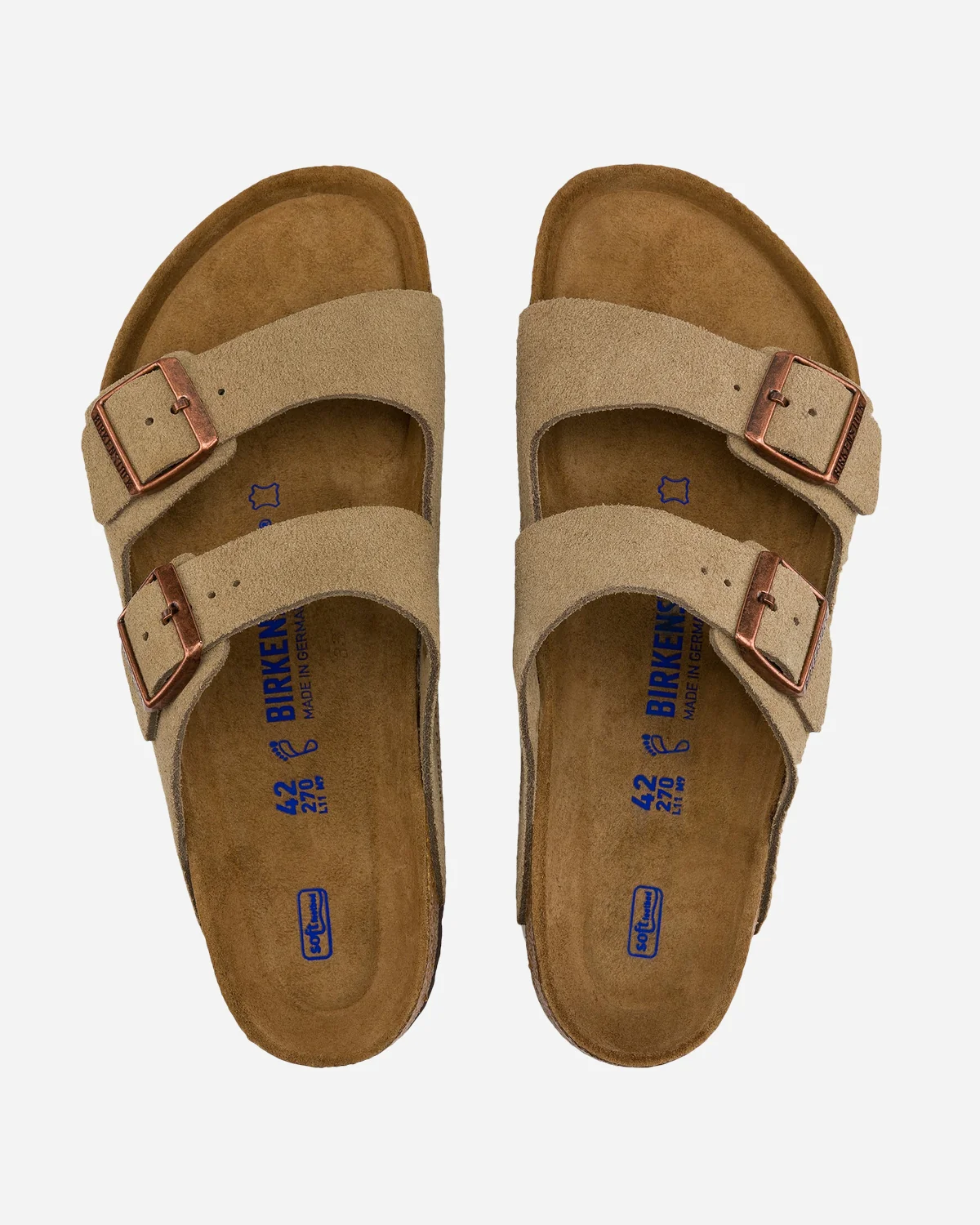 Arizona SFB VL Normal - Image 6