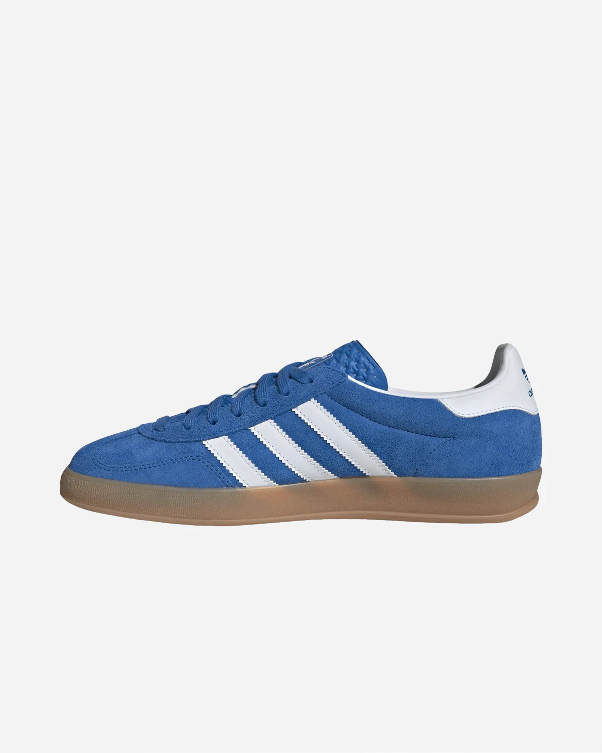 Gazelle Indoor - Image 2