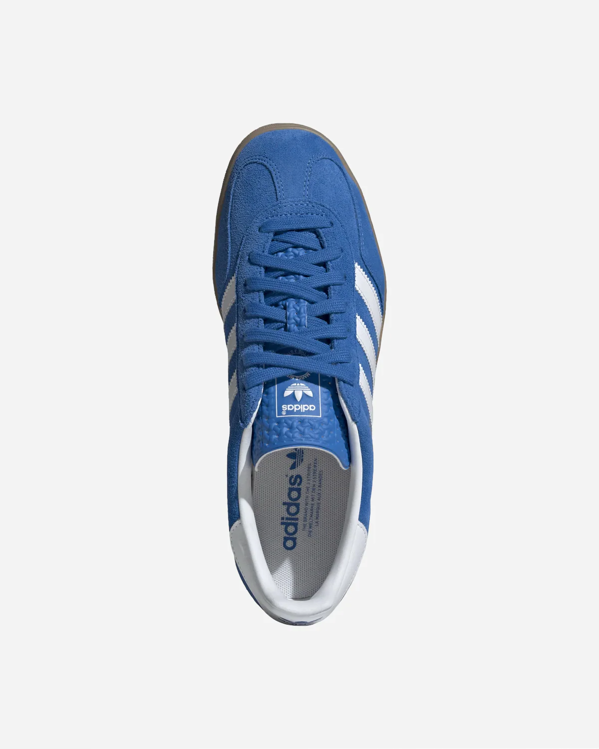 Gazelle Indoor - Image 3