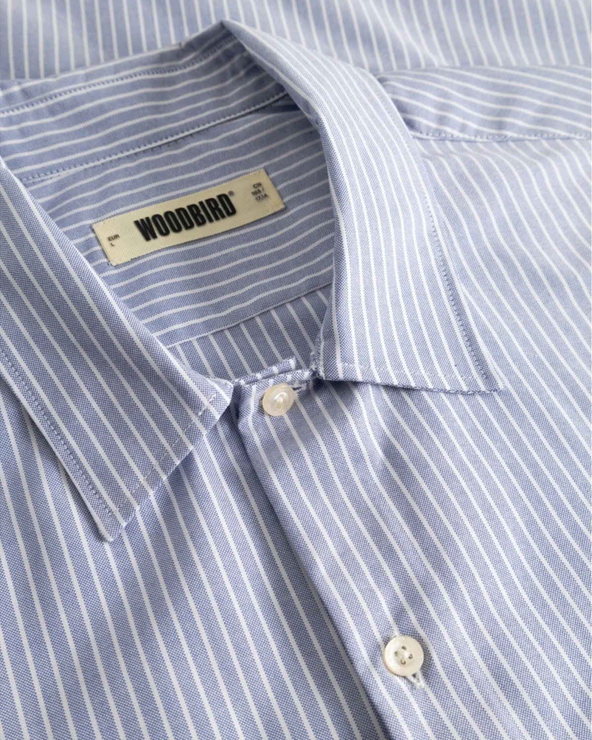 Wang Ox Flower Shirt - Image 3